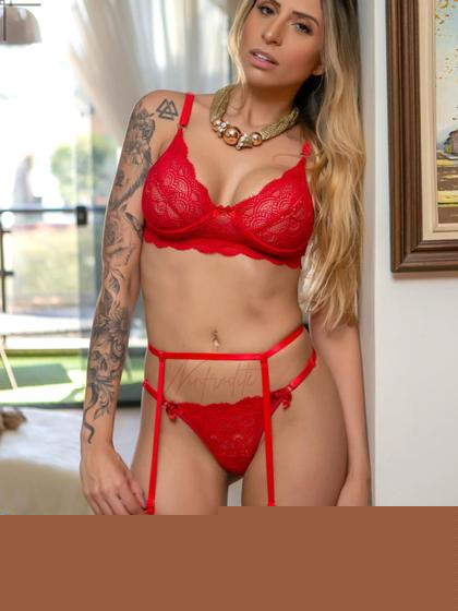 Imagem de Conjunto Feminino Lingerie Renda Sensual Sutiã Aro + Calcinha Fio Liga Sexy Secret Love