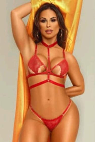 Imagem de Gargantilha Sexy De Pescoço e Tronco Tipo Cinta Liga Sensual Chocker
