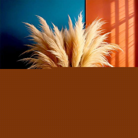 Imagem de Kit com 20 Plumas Natural / Capim dos Pampas Plumoso Flores Secas Para Decoração Casa Casamento